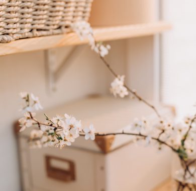 cherry blossoms vase wicker basket table room cherry blossoms in a vase wicker basket on the table in the room home isolation